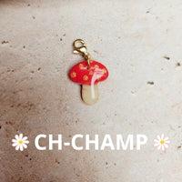 CHOIX DES CHARMES