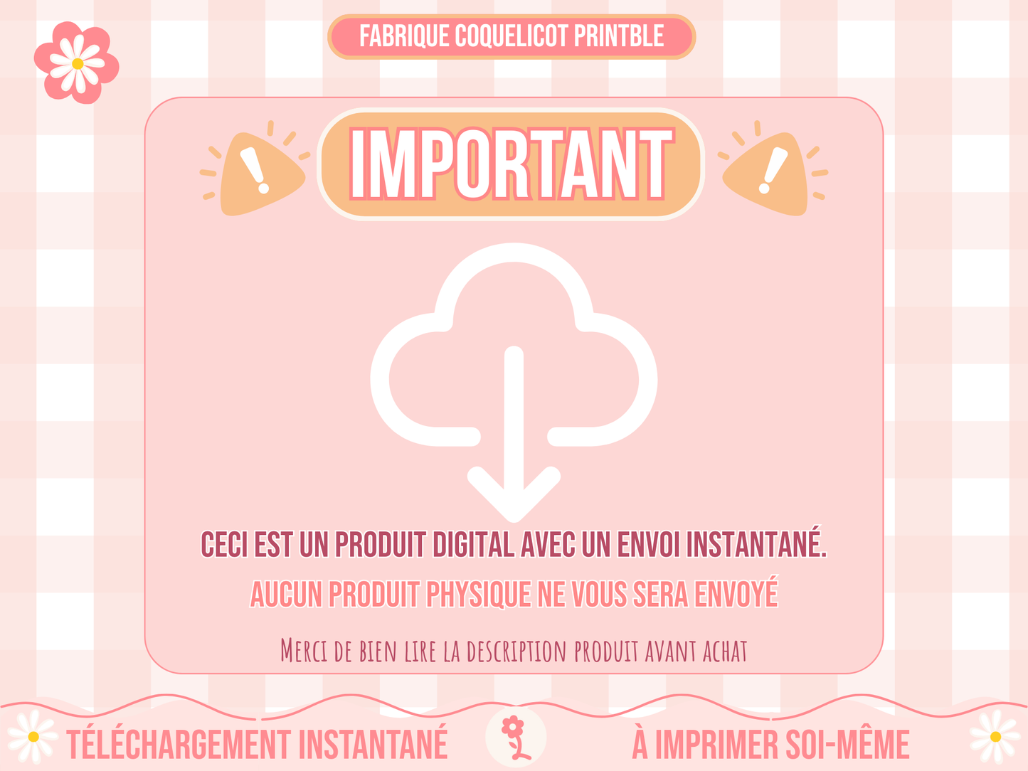 Fichier ROUTINE enfant / fichier numérique routine semaine / avion