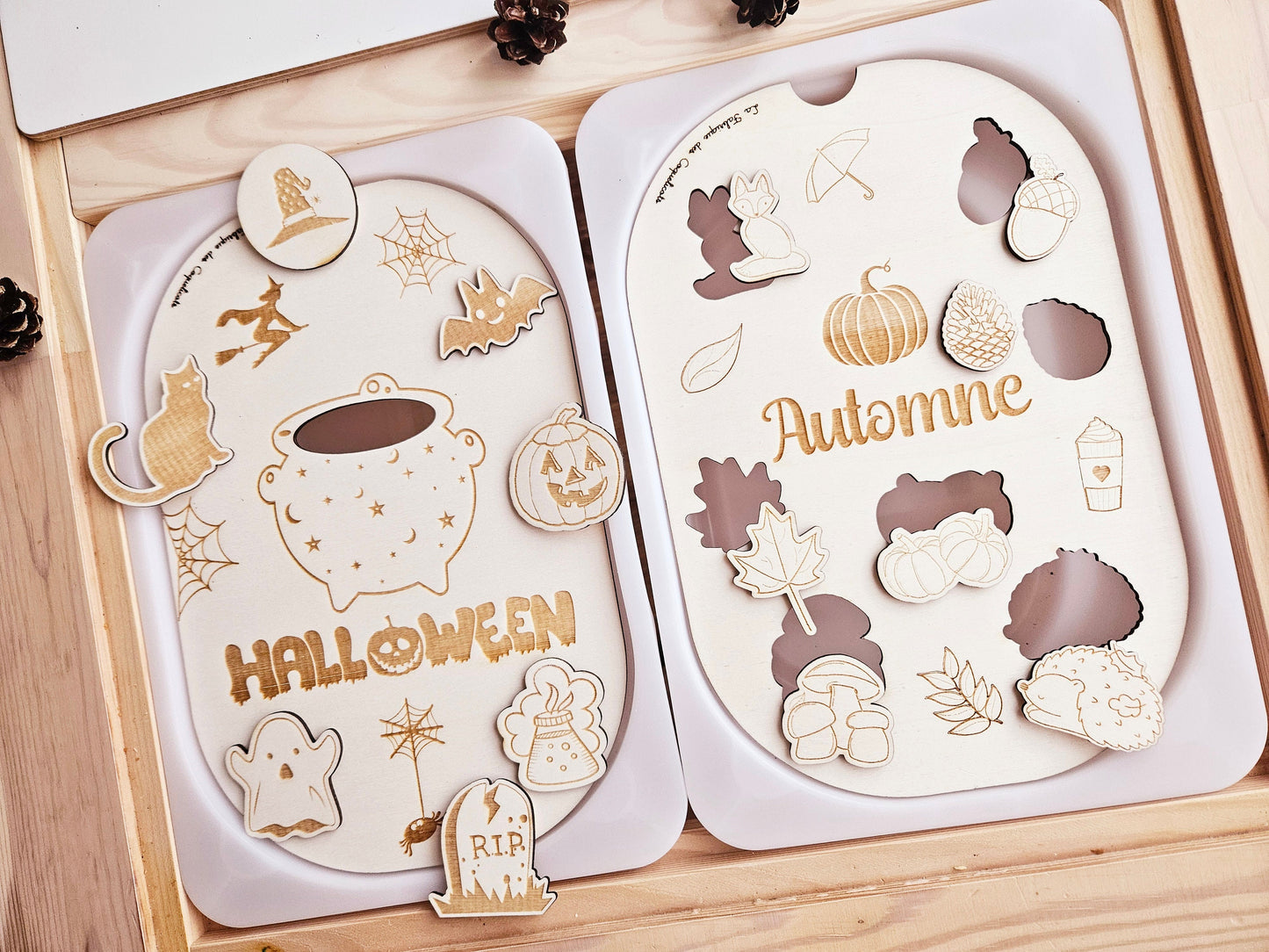 Couvercle TROFAST / AUTOMNE / saison / jeu automne / éducatif / / activité enfant / nomenclature / Montessori