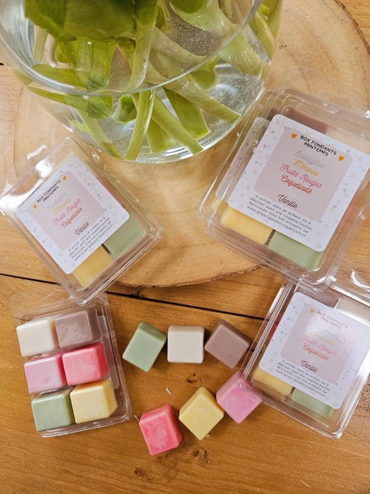 Tablette de fondants parfumés - PRINTEMPS - eucalyptus mimosa coquelicot muguet vanille- fruits rouges- déco maison fondant printemps