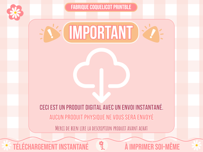 Fichier ROUTINE enfant  / fichier numérique routine semaine / avion