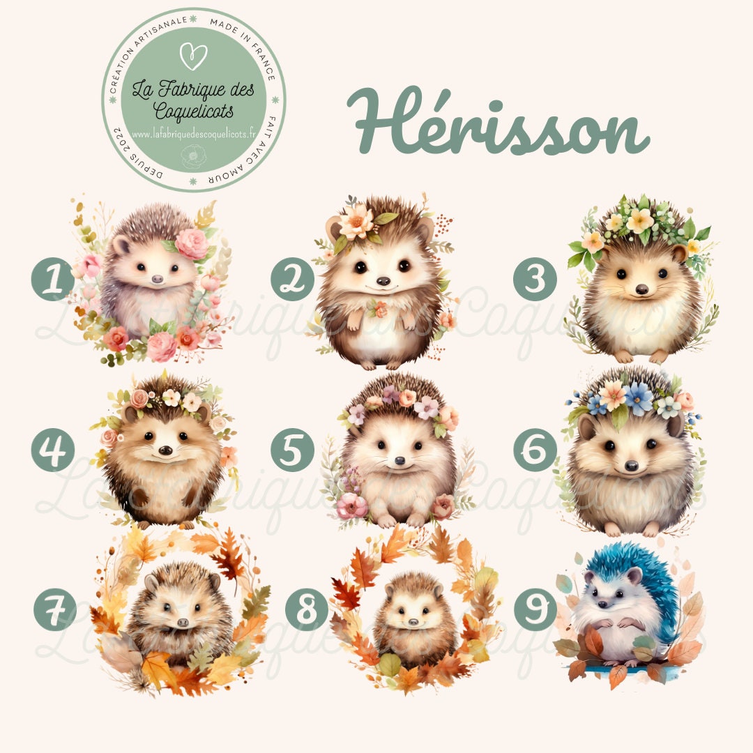 Gourde enfant / bébé / cadeau personnalisé, rentrée des classes, anniversaire / hérisson prénom